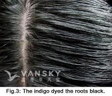 240102152656_Hair-Dyed with indigo-s.jpg